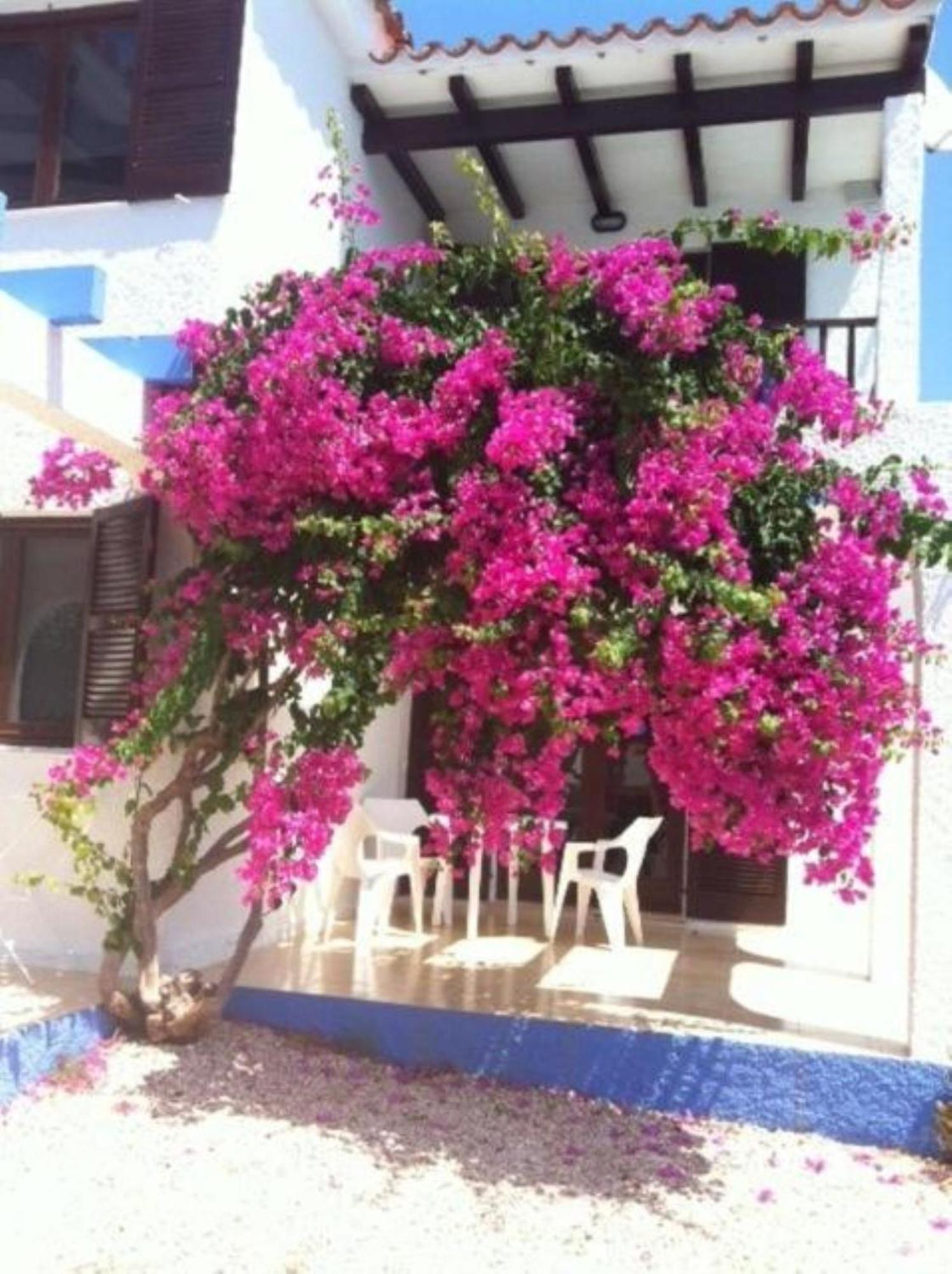 Apartment Blue By Escape Cala en Forcat